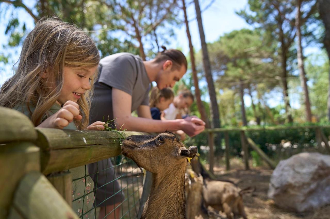 Camping Campo Dei Fiori Vada Εξωτερικό φωτογραφία
